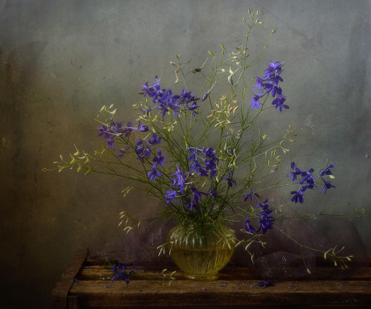 �1759923 �������(a): ����������:4169x3472